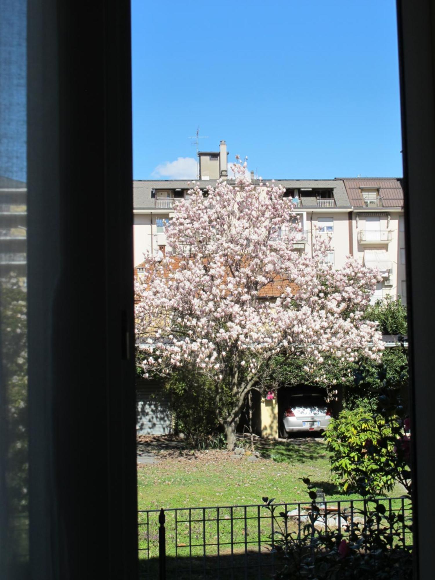 Appartamento Domus Mea Domodossola Esterno foto